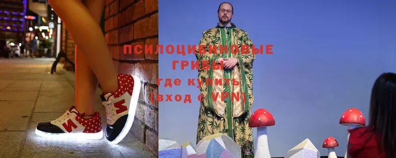 Псилоцибиновые грибы Magic Shrooms  Киселёвск 